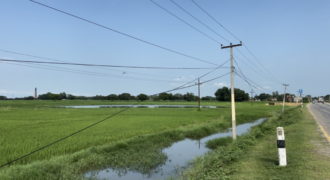 Land in Lumbini, Kapilvastu