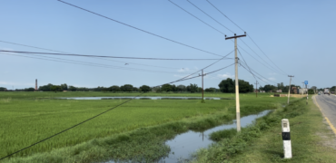 Land in Lumbini, Kapilvastu