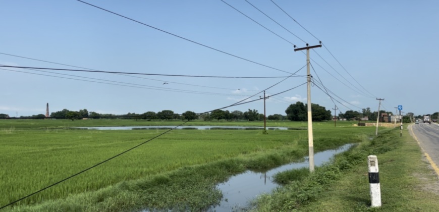 Land in Lumbini, Kapilvastu