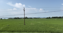 Land in Lumbini, Kapilvastu