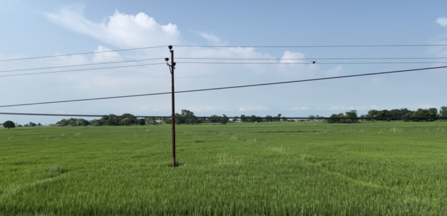 Land in Lumbini, Kapilvastu