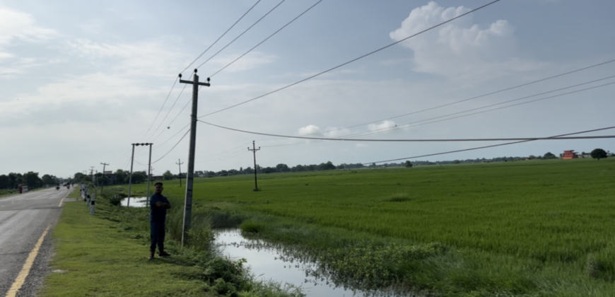 Land in Lumbini, Kapilvastu
